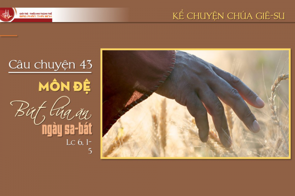 Câu chuyện 43 - Môn đệ bứt lúa ngày sa-bát