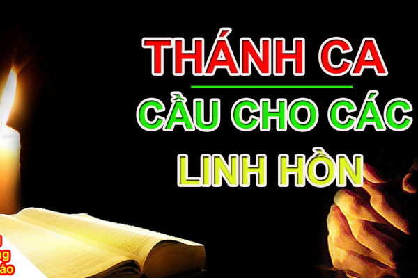 Thánh Ca Cầu Cho Các Linh Hồn || Thánh Ca Tháng Cầu Hồn Hay Nhất || Nghe Mà Khóc Hết Nước Mắt