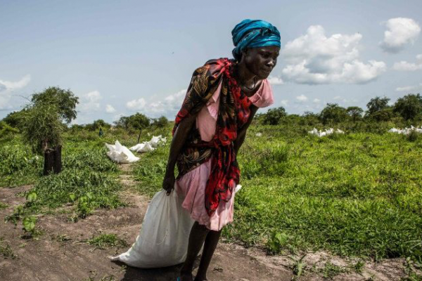 Lòng can đảm của cha Tony O'Riordan, nhà truyền giáo tại Nam Sudan