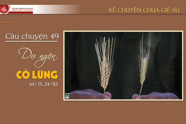 Câu chuyện 49 - Dụ ngôn Cỏ lùng
