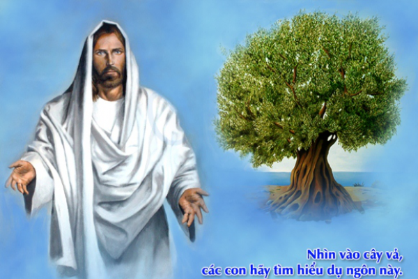 Thánh Kinh bằng hình: Chúa nhật 33 Thường niên năm B