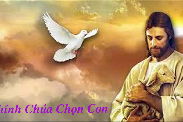 “Chính Chúa chọn con”