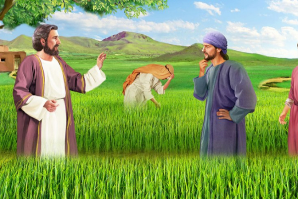Chia sẻ Lời Chúa - Chúa Nhật XVI Thường Niên A