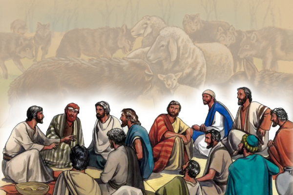 Kinh thánh bằng hình: Chúa nhật 14 Thường Niên năm C